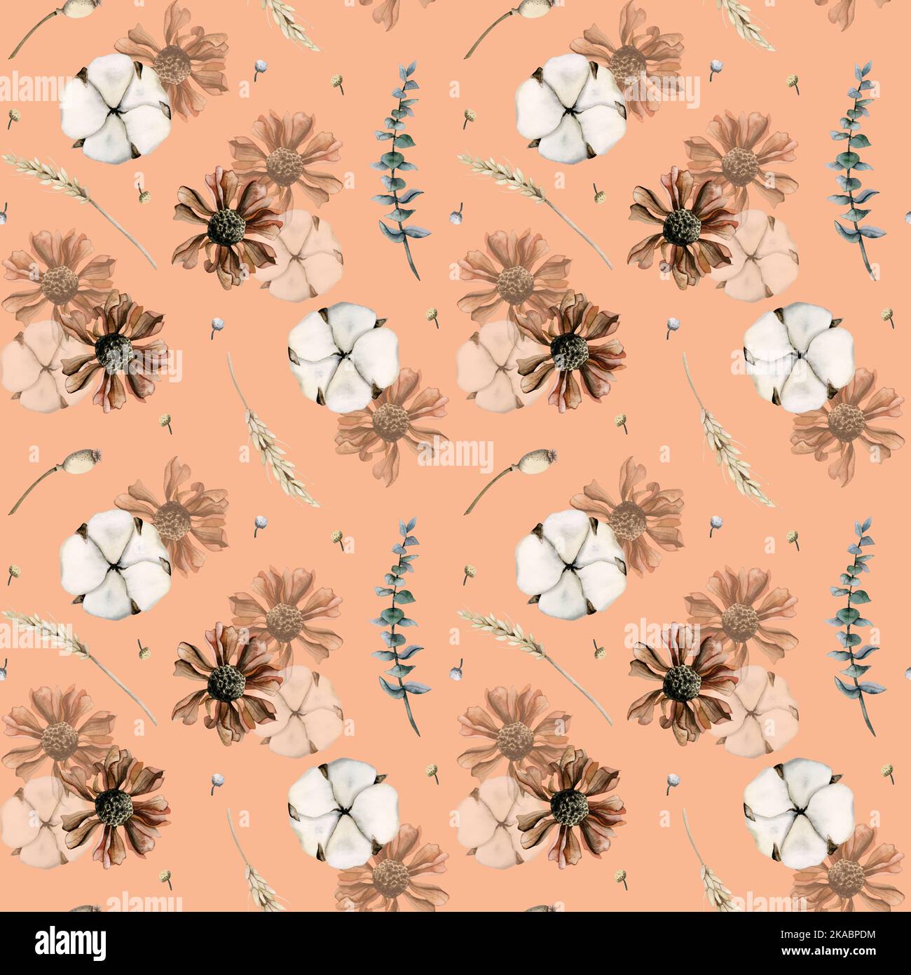 Nahtloses Muster mit Baumwoll-Ball Blumen auf Pfirsich Hintergrund für Tapeten, Web-Seite Hintergründe, Textil. Skandinavischer Stil Stockfoto