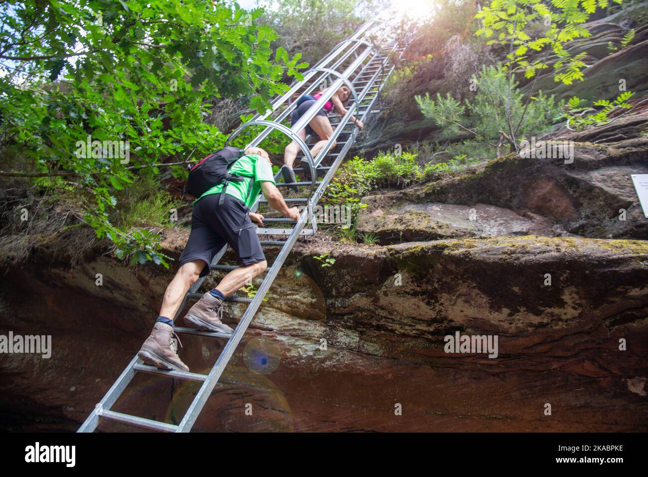 Wanderer auf der Leiter zum Hühnerstein. Der Hühnerstein ist ein Sandsteinfelsen im Pfälzer Wald und Teil des Rimbachsteig Stockfoto