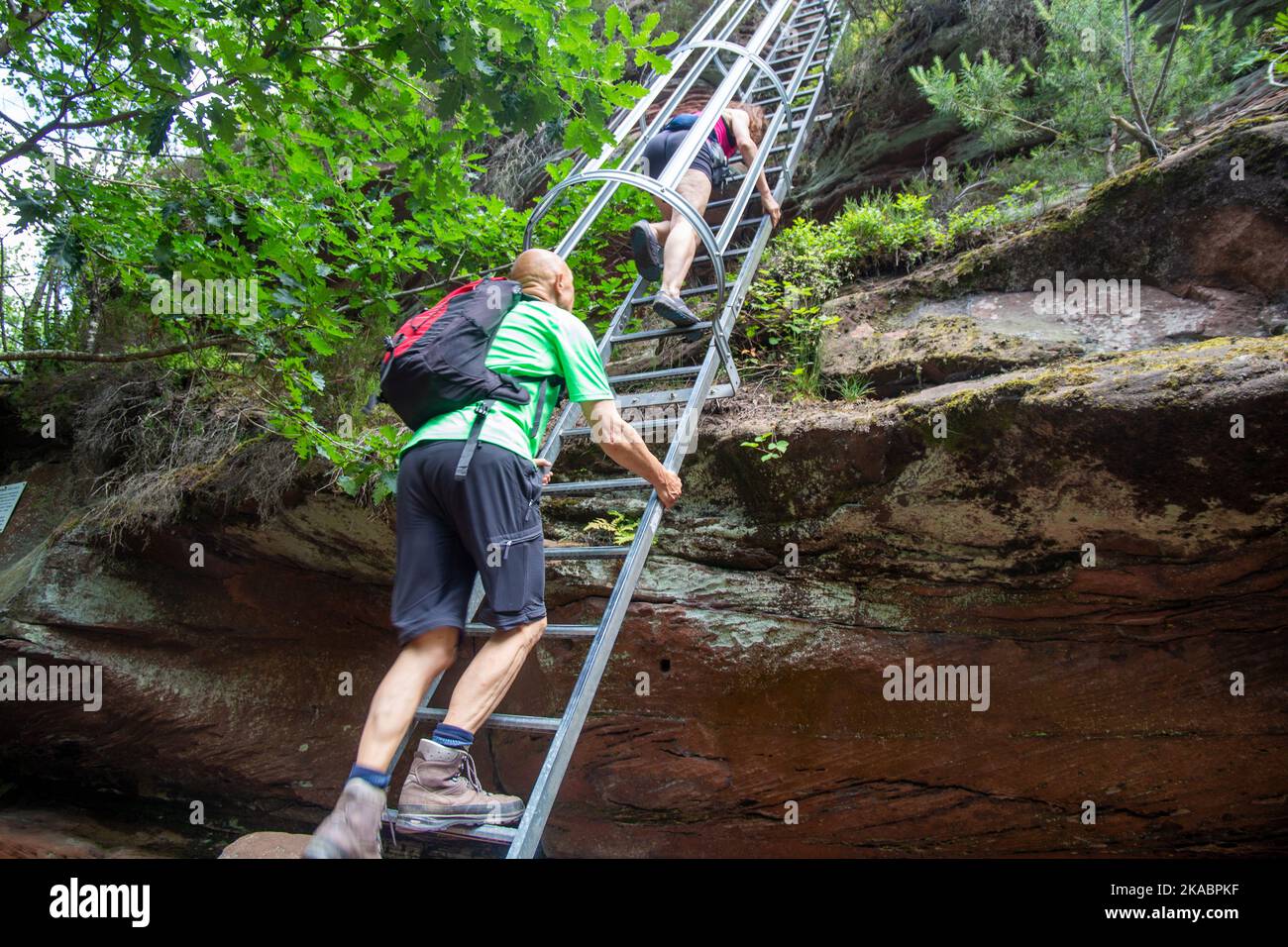 Wanderer auf der Leiter zum Hühnerstein. Der Hühnerstein ist ein Sandsteinfelsen im Pfälzer Wald und Teil des Rimbachsteig Stockfoto