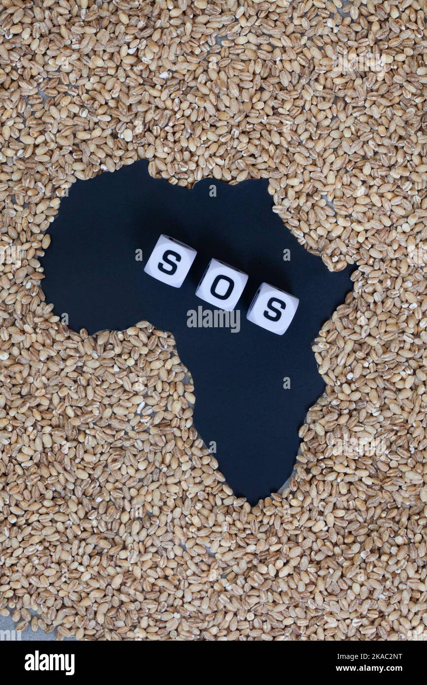 Die globale Ernährungs- und Getreidekrise, Schwarz Schnitt Form des afrikanischen Kontinents von Getreide umgeben Stockfoto