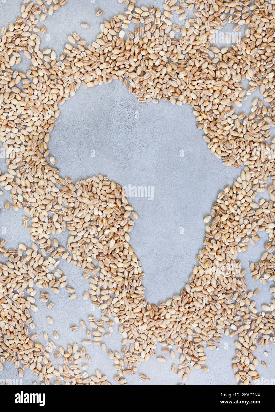 Globale Ernährungs- und Getreidekrise, afrikanischer Kontinent in Getreide auf einer melierten grauen Oberfläche geformt Stockfoto