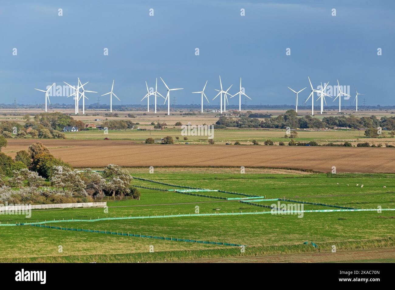 Windpark in der Nähe von Rye, East Sussex, England, Grat Großbritannien Stockfoto
