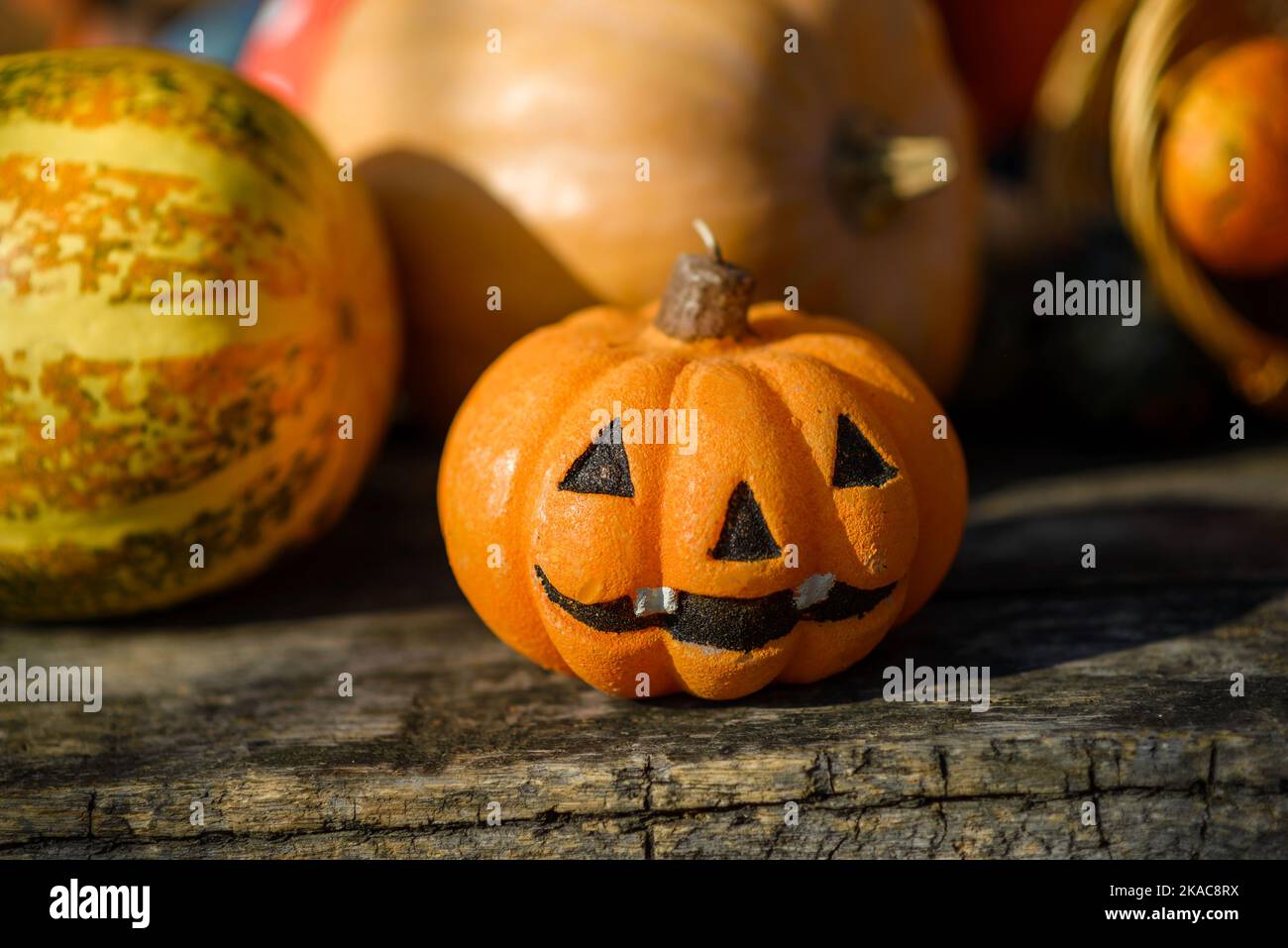 Spaß für die ganze Familie - geschnitzte Kürbisse in Jack-o-Laternen für halloween Nahaufnahme bemalt Stockfoto