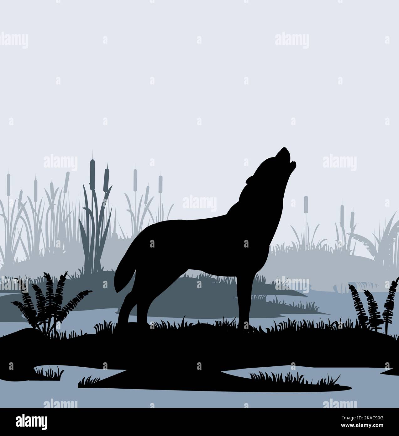 Einsamer Wolf heult im Sumpf im Nebel zwischen Schilf. Silhouettenbild. Wildes Tier in der Natur. Predator unter natürlichen Bedingungen. Vektor Stock Vektor