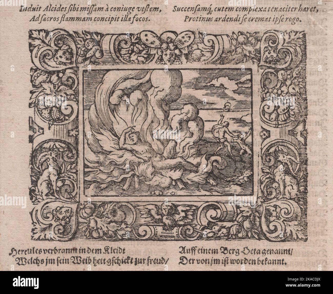 Original Ovid - Metamorphosen Illustration 16. Jahrhundert Stockfoto
