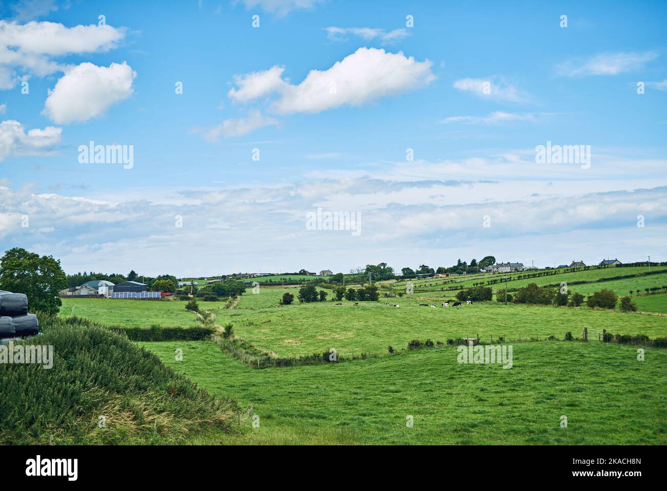 Offenes Land, so weit das Auge reicht. Weites offenes Ackerland auf dem Land. Stockfoto