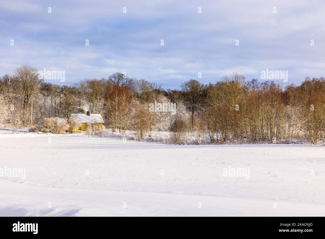 Kleines Ferienhaus an einem kalten Wintertag an einem Wald Stockfoto