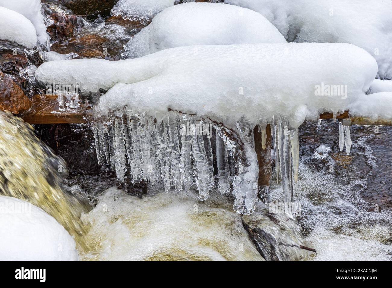 Eiszapfen in einem Bach im Winter Stockfoto