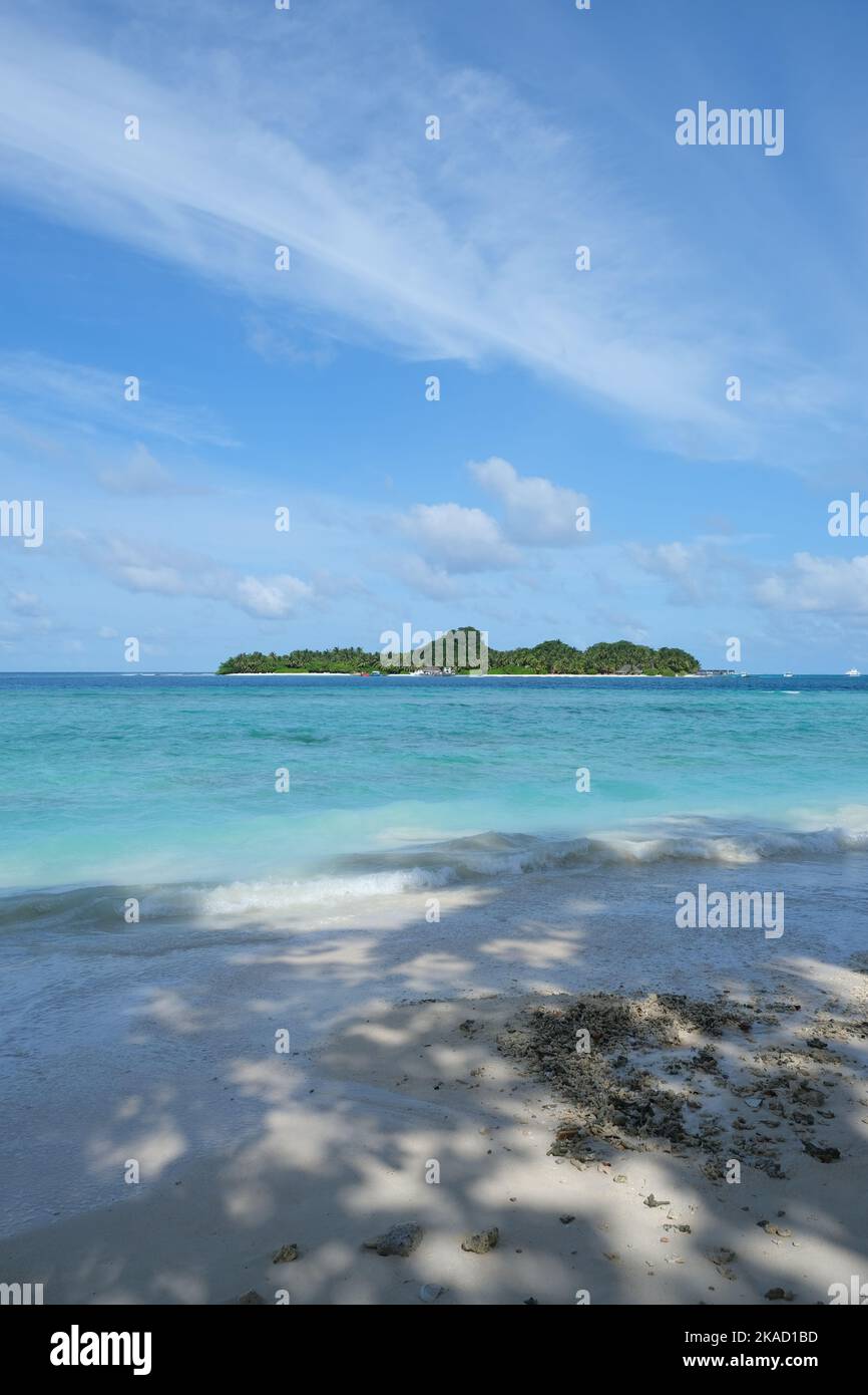 Rasdhoo ist berühmt für seine Habitate von Schwarz- und Weißspitzenriffhaien. Es ist eine kleine Insel im nördlichen Ari Atoll mit schönen Stränden. Stockfoto