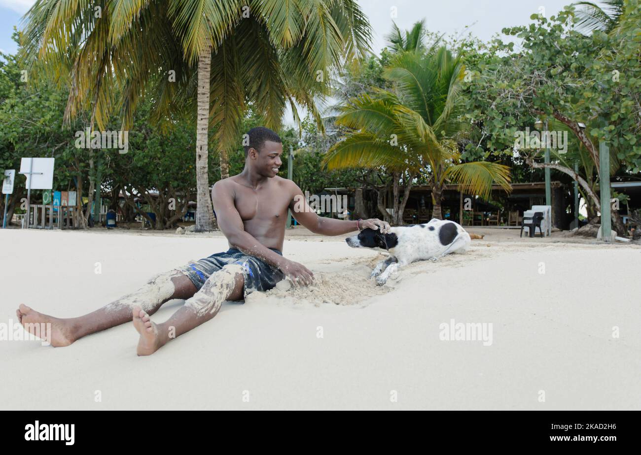 Fröhlicher afroamerikanischer männlicher Tourist in Shorts, der auf Sand sitzt und einen gehorsamen Hund streichelt, während er am Sommerwochenende am Strand ist Stockfoto