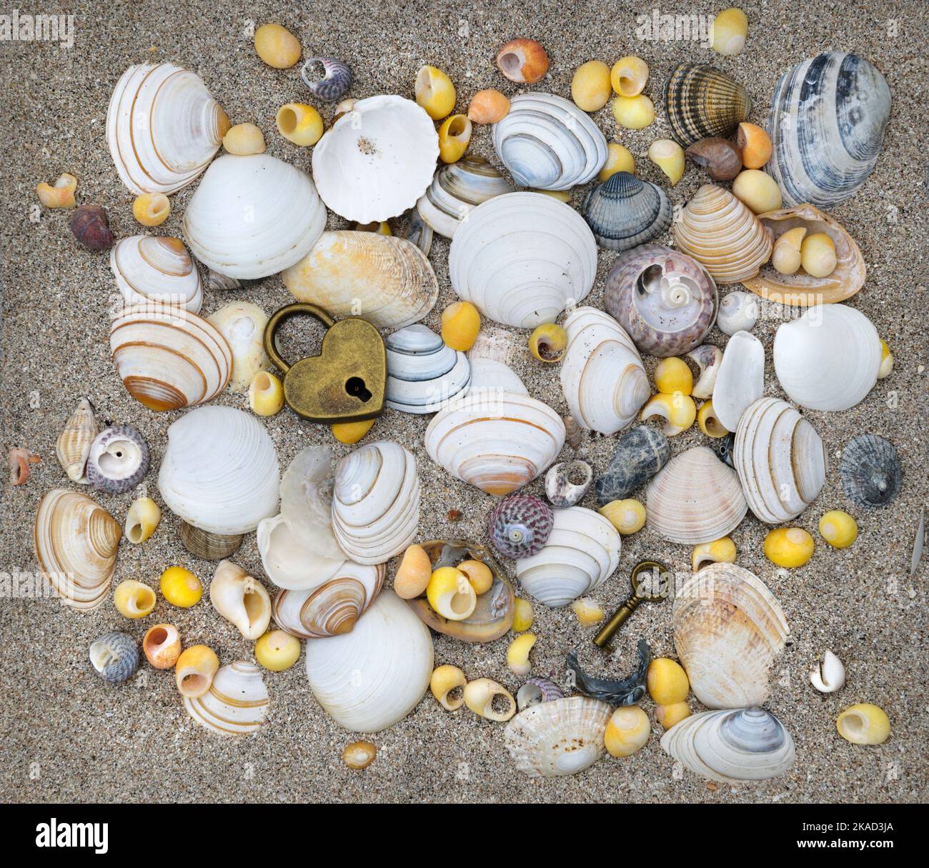 Muscheln auf Sand mit Vorhängeschloss und Schlüssel Stockfoto