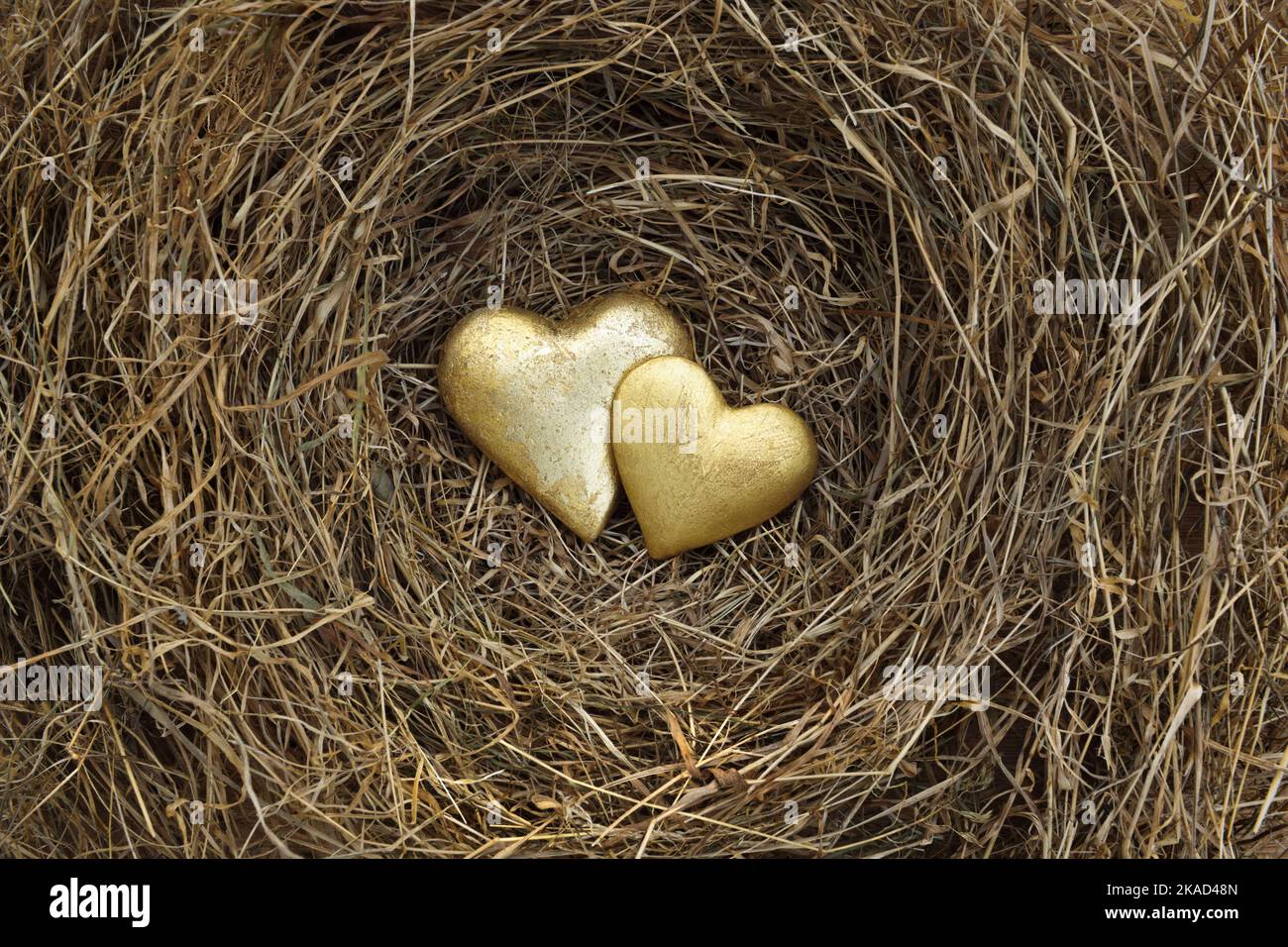 Zwei vergoldete Herzen im Nest aus trockenem Gras. Stockfoto