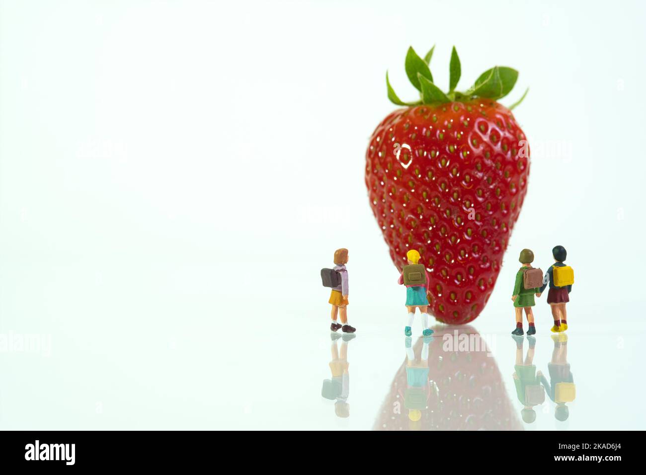 Mehrere Schulkinder stehen vor einer reifen Erdbeere auf weißem Hintergrund, Konzept: Gesunde Rohkost Stockfoto