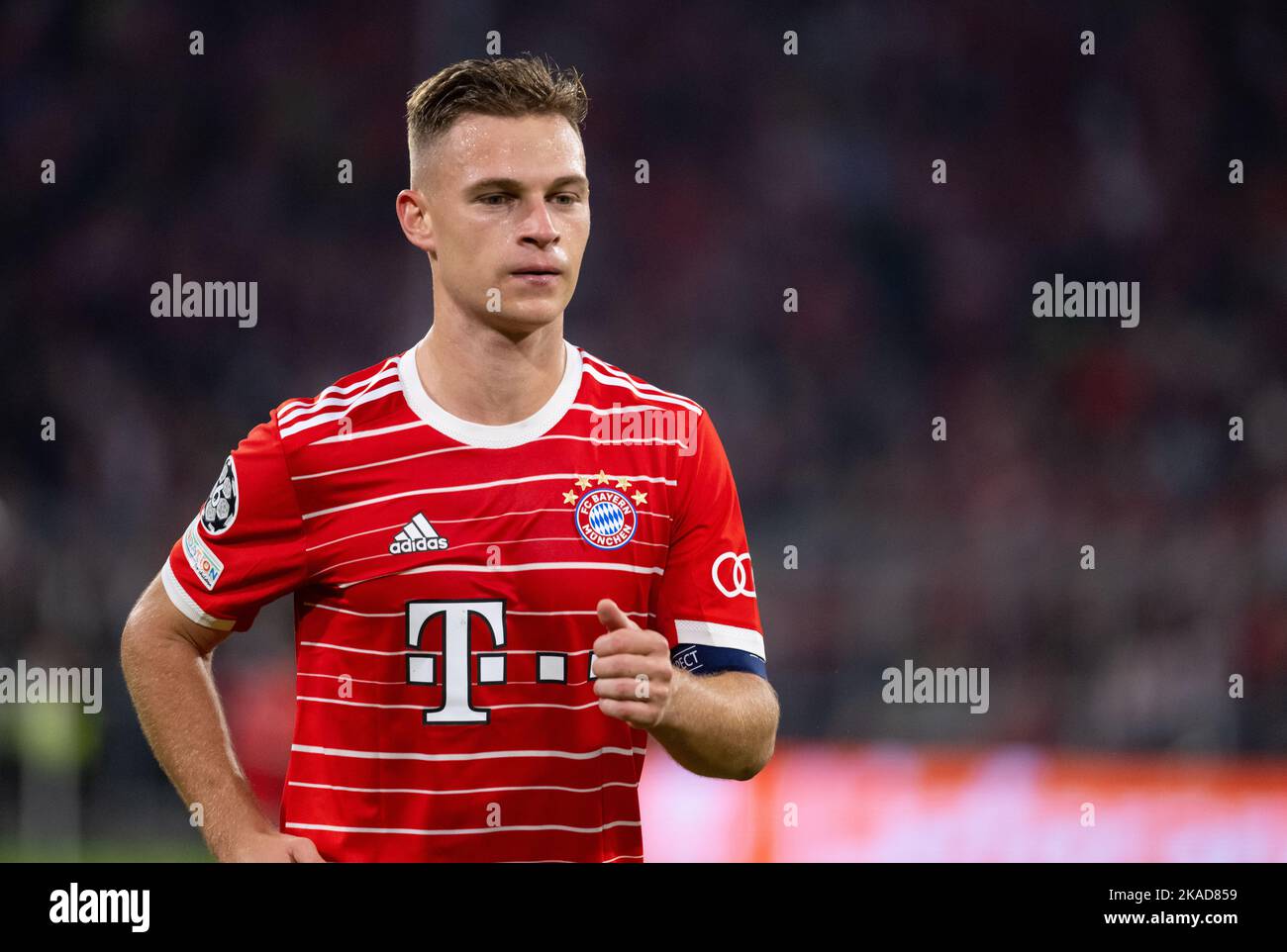 01. November 2022, Bayern, München: Fußball: Champions League, Bayern München - Inter Mailand, Gruppenphase, Gruppe C, Matchday 6 in der Allianz Arena. Joshua Kimmich aus München in Aktion. Foto: Sven Hoppe/dpa Stockfoto