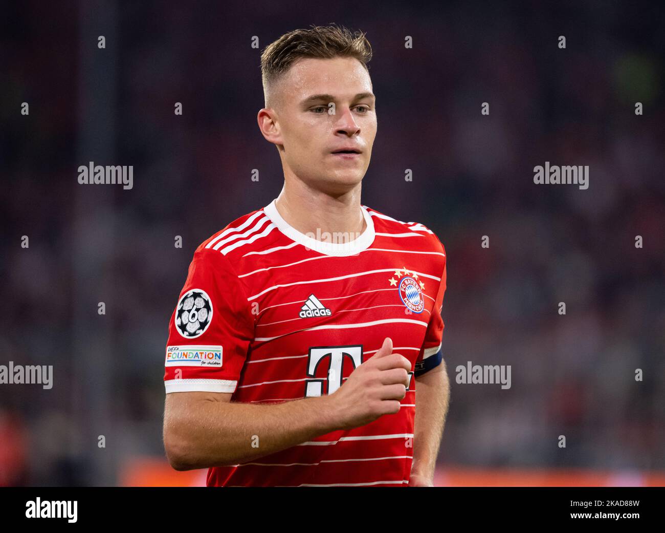 München, Deutschland. 01.. November 2022. Fußball: Champions League, Bayern München - Inter Mailand, Gruppenphase, Gruppe C, Matchday 6 in der Allianz Arena. Joshua Kimmich aus München in Aktion. Quelle: Sven Hoppe/dpa/Alamy Live News Stockfoto