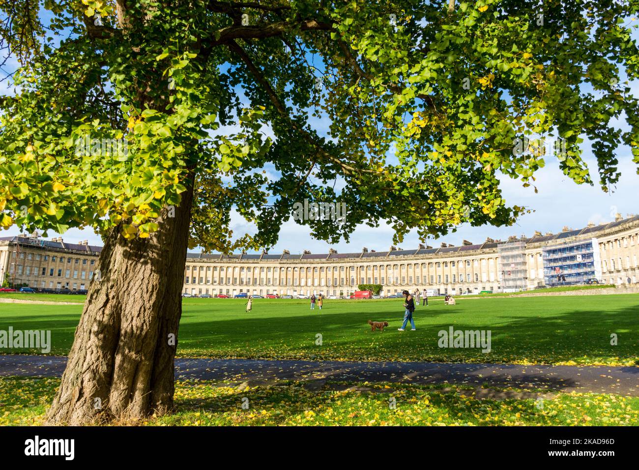 Der Royal Crescent, eines der berühmtesten Wahrzeichen von Bath, wurde zwischen 1767 und 1775 erbaut und von John Wood dem Jüngeren entworfen. Bath, Somerset, Englan Stockfoto