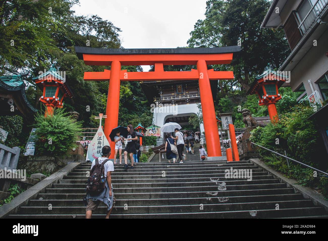 Eine Treppe zum Enoshima-Schrein in Japan. Besucher, der durch die hölzernen Torii-Tore geht. Stockfoto