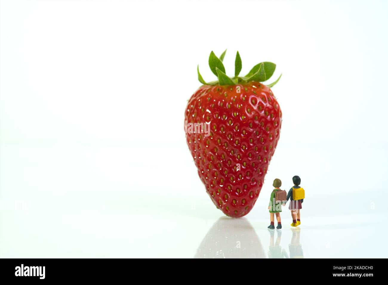 Schulkinder stehen vor einer reifen Erdbeere auf weißem Hintergrund, Coppy Space, Konzept: Gesunde Rohkost Stockfoto