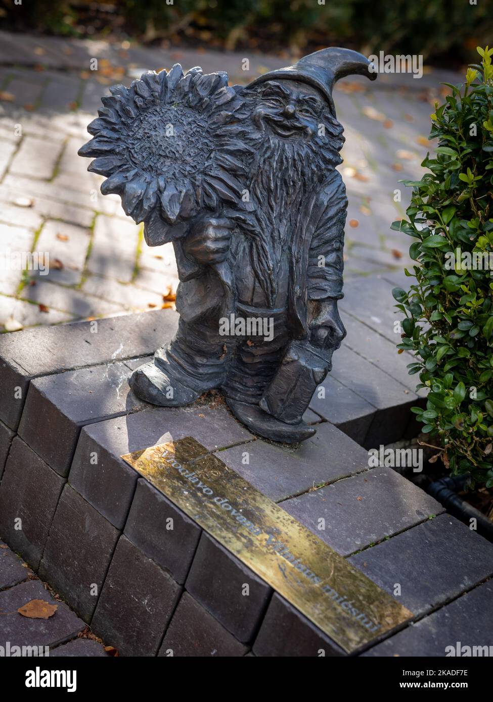 Vilnius, Litauen - 26. September 2022: Eine Bronzestatue des Zwerges Zyczliwek, ein Geschenk der polnischen Stadt Breslau an Vilnius. Bernardinengarten in der Altstadt. Stockfoto
