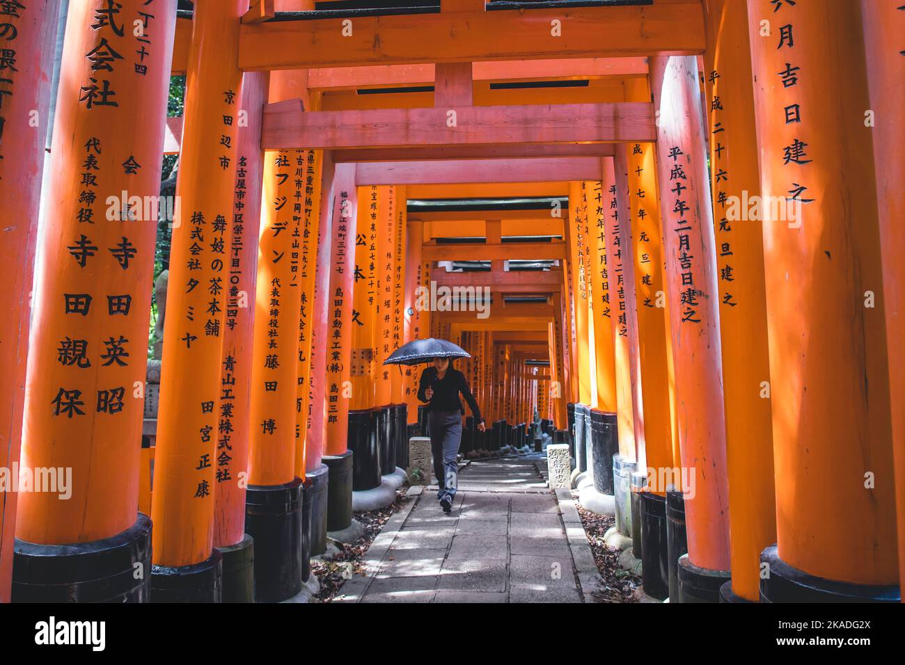 Das rote Torii-Tor im Fushimi Inari Taisha-Schrein ist das berühmte Wahrzeichen von Kyoto, Japan Stockfoto