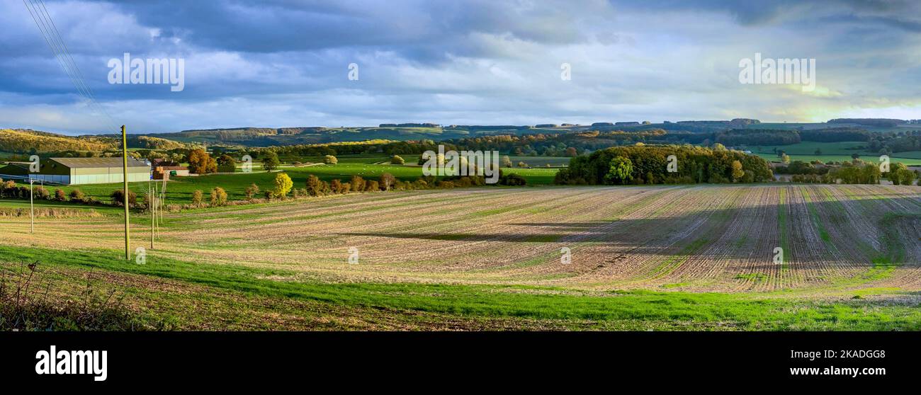 Am späten Nachmittag Sonnenlicht auf Ackerland in der Nähe der Marktstadt Malton in North Yorkshire im Nordosten von England. Stockfoto