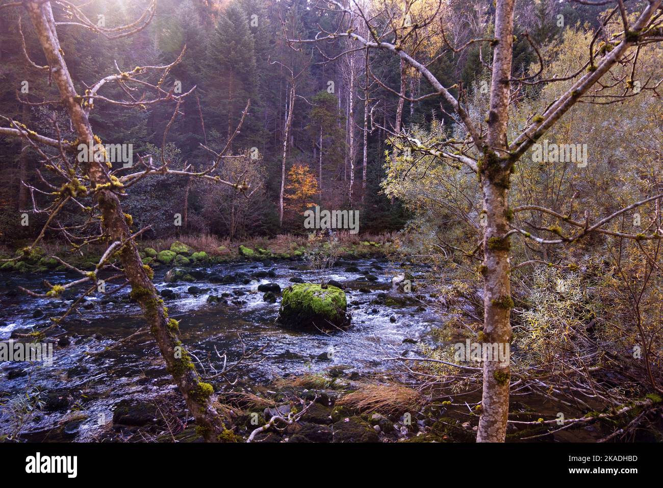 Malerische Herbstlandschaft von Gorges de l'Areuse, Noirague, Neuchatel, Schweiz, Europa. Schöner romantischer, magischer Herbstfluss mit moosigen Felsbrocken Stockfoto