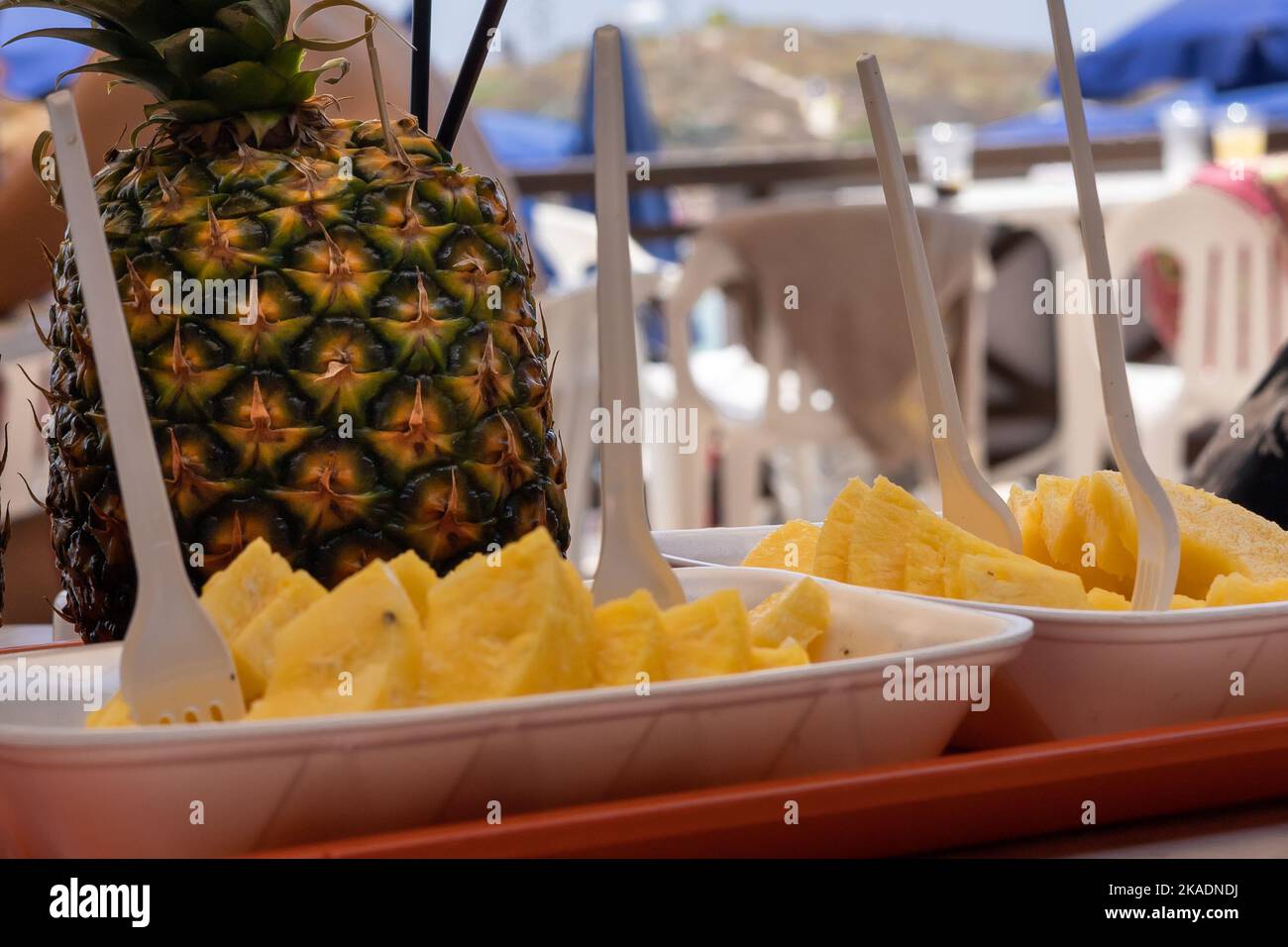 Ein Pinacolada-Kokschwanz in frischen Ananasfrüchten und Ananasscheiben in zwei Styroporplatten auf dem Tisch an der Strandbar. Stockfoto