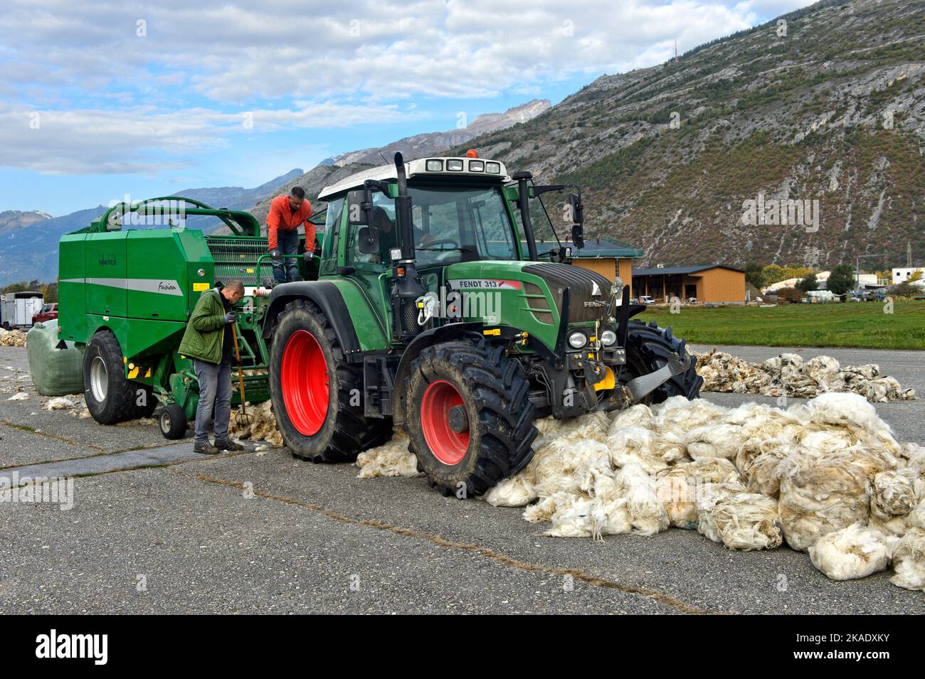 Traktor mit Rundballenpresse sammelt Schafwolle, Swisswool Sammelstelle für Schurwolle von Walliser Schwarznasenschafen, Turtmann, Wallis,Schweiz Stockfoto