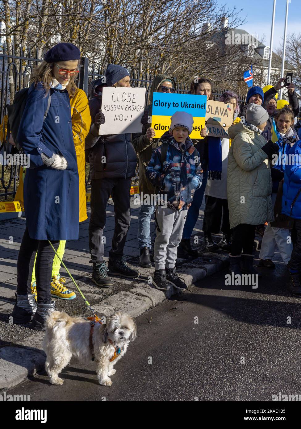 Reykjavik, Island - 13. März 2022: Menschen mit ukrainischen Farben und Bannern, die gegen den Krieg in der Ukraine protestieren. Stockfoto