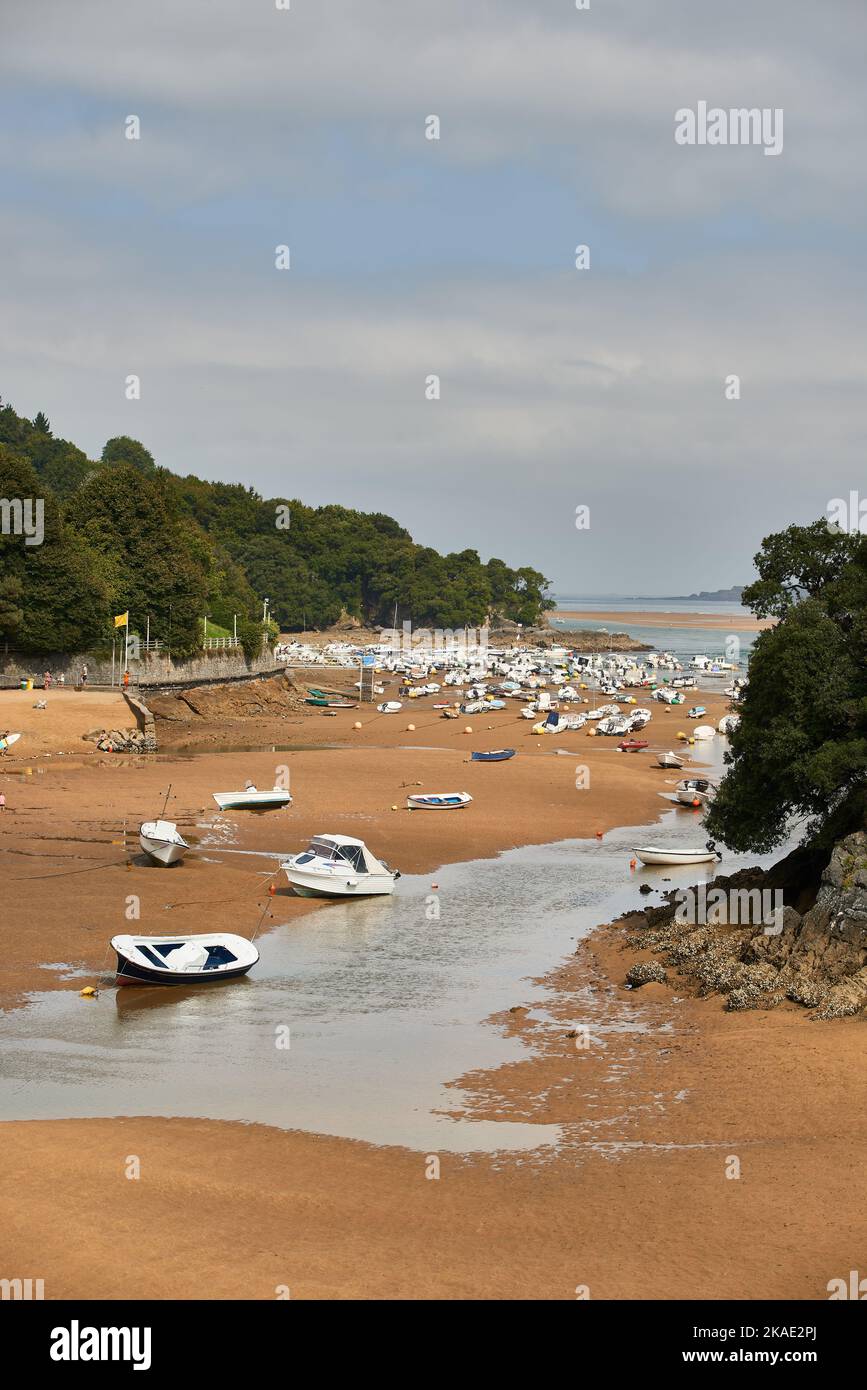Isla de Chacharramendi, Urdaibai reserva de la Biosfera, Biskaya, Baskenland, Euskadi, Euskal Herria, Spanien, Europa. Stockfoto
