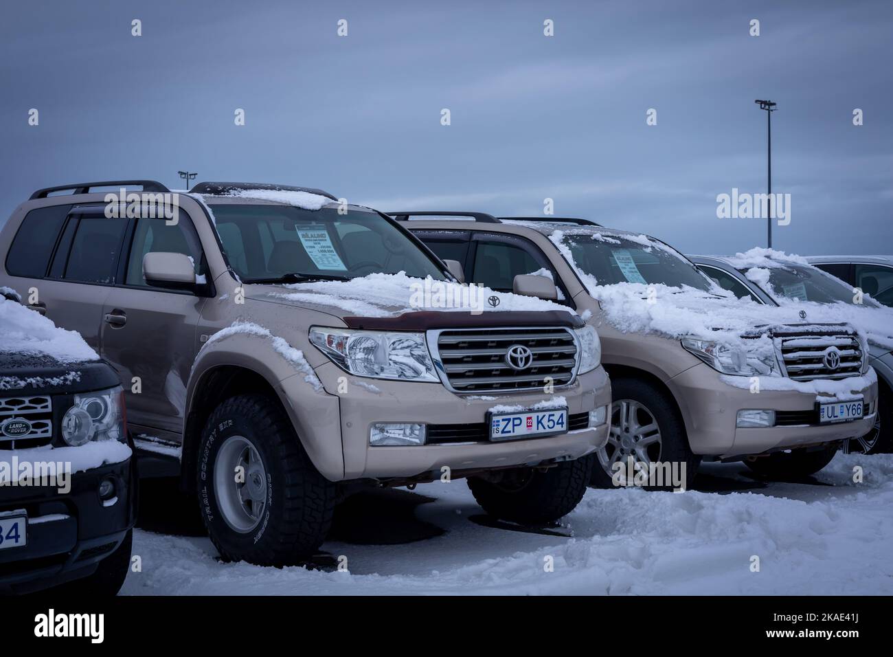 Reykjavik, Island - 25. Januar 2022: Zwei gebrauchte Toyota Landcruiser Autos zum Verkauf, geparkt auf einem Outdoor-Automarkt im Winter. Stockfoto