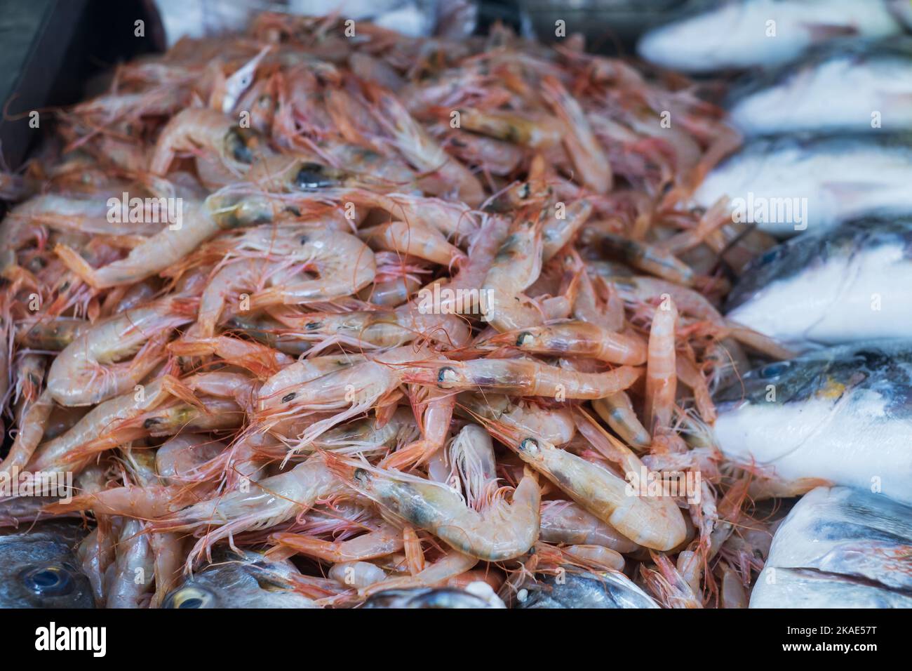 Meeresfrüchte verkaufen auf dem Fischmarkt in Turkeye Stockfoto