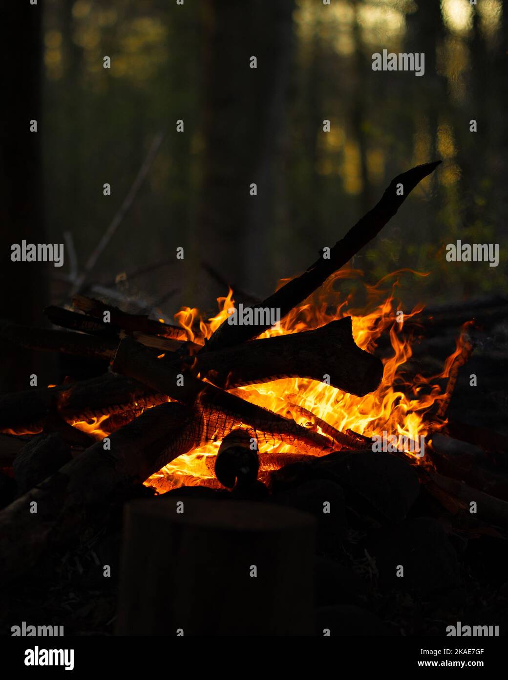 Das Abendfeuer im Wald und entspannen Zeit Stockfoto