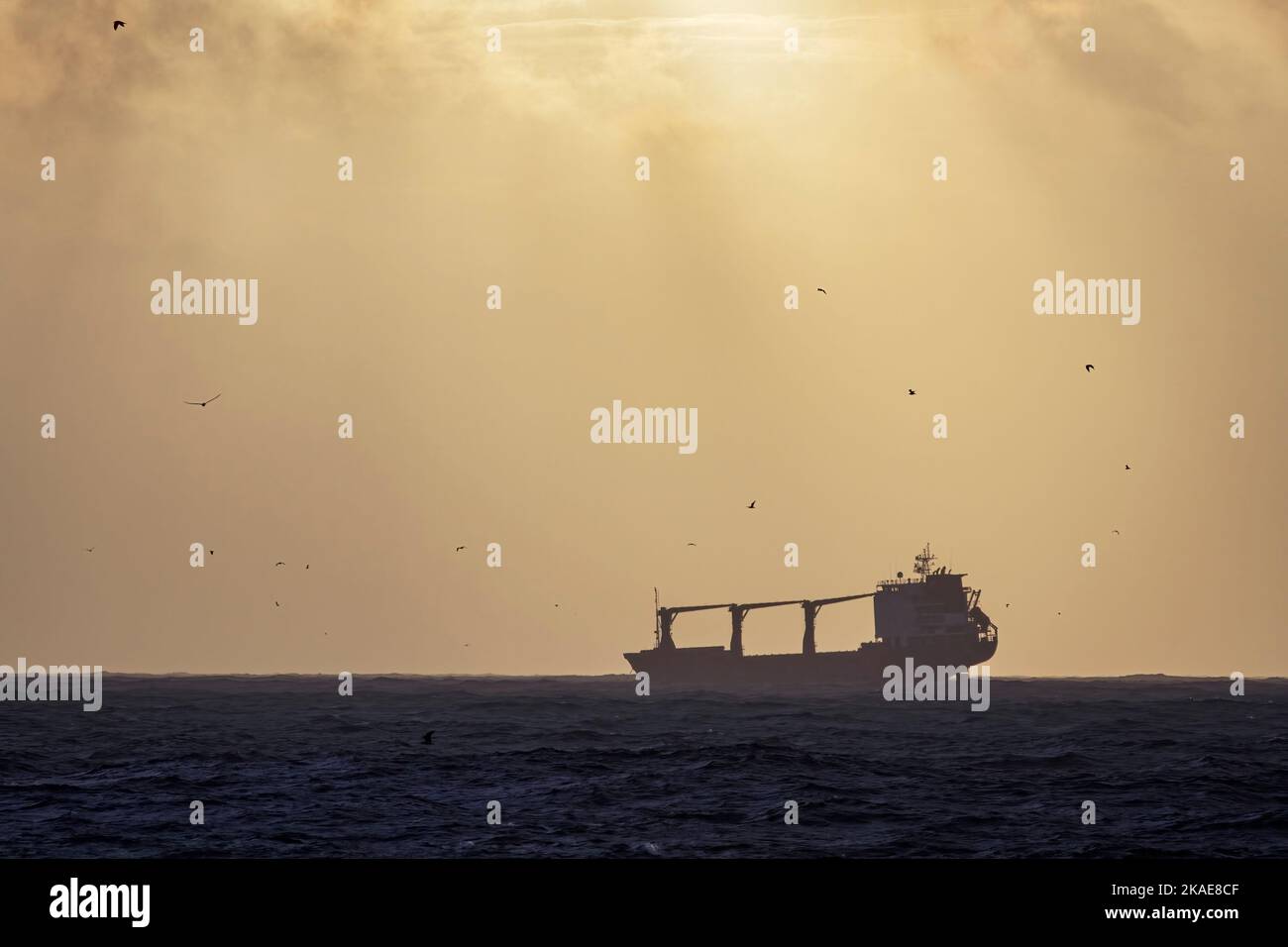 Handelsschiff vor der portugiesischen Küste bei Sonnenuntergang vor Anker. Stockfoto
