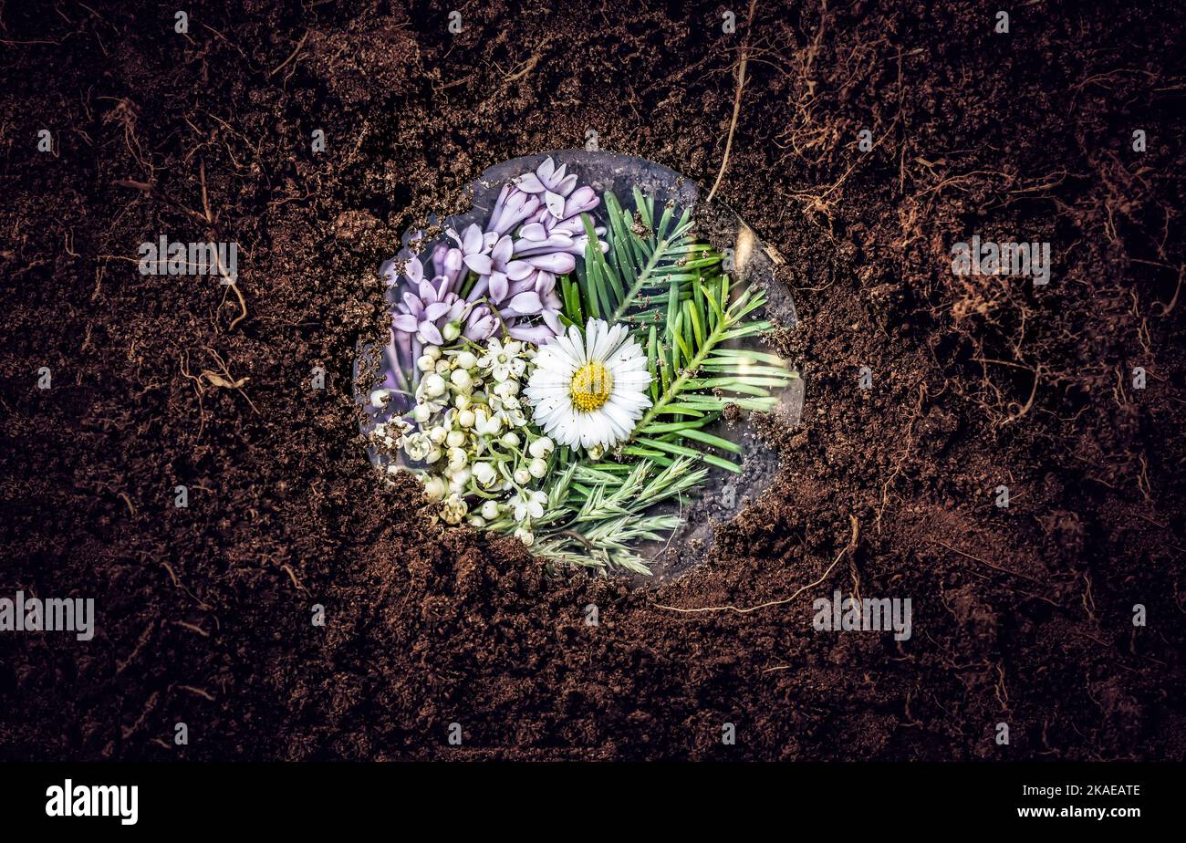 Konzeptfotografie über Umwelt und Rettung der Natur Stockfoto