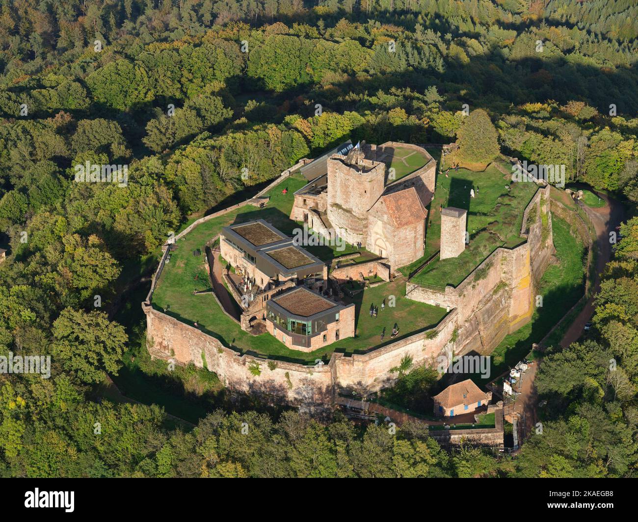 LUFTAUFNAHME. Mittelalterliche Burg in den Vogesen. Schloss Lichtenberg, Bas-Rhin, Elsass, Grand Est, Frankreich. Stockfoto