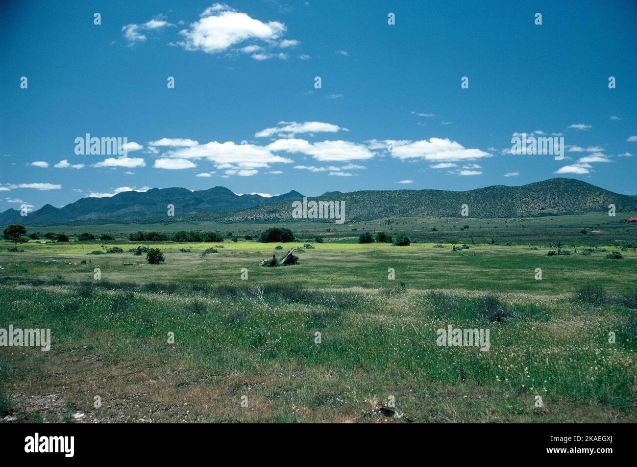 Südaustralien. Flinders Ranges. Landschaft. Stockfoto