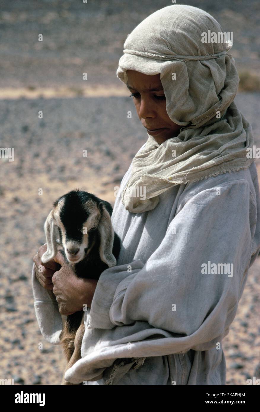 Marokko. Sahara-Region. Beduinenjunge mit Ziegenbaby. Stockfoto