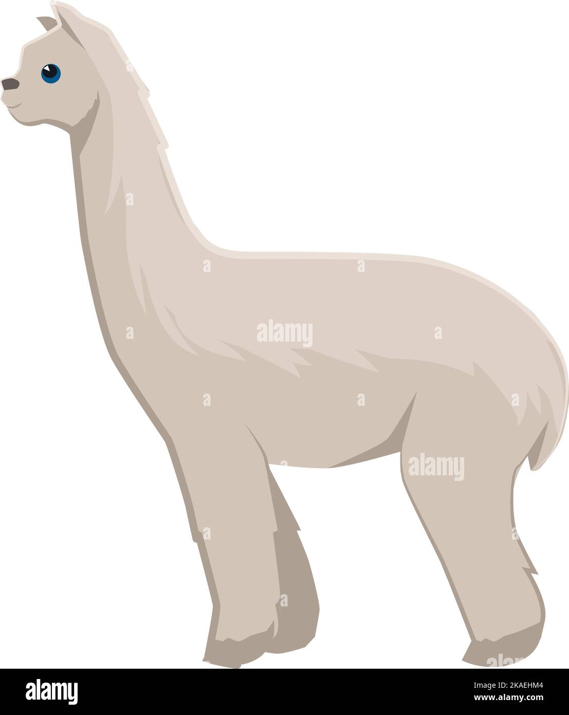 Alpaka-Symbol. Wildes Lama-Tier. Zoo Fauna isoliert auf weißem Hintergrund Stock Vektor