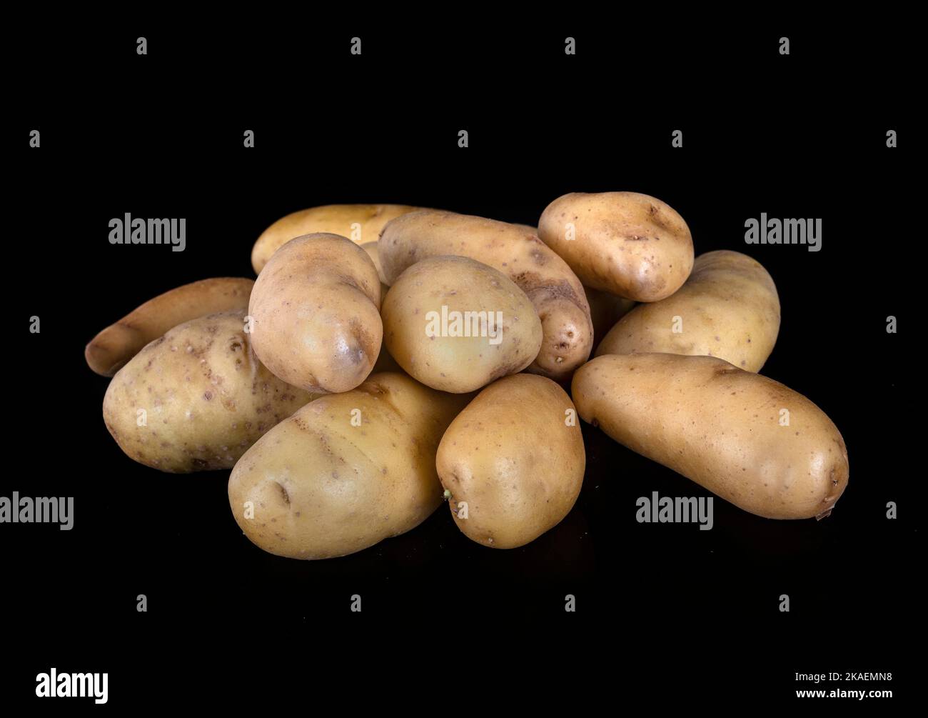 Ratte Kartoffel vor schwarzem Hintergrund Stockfoto