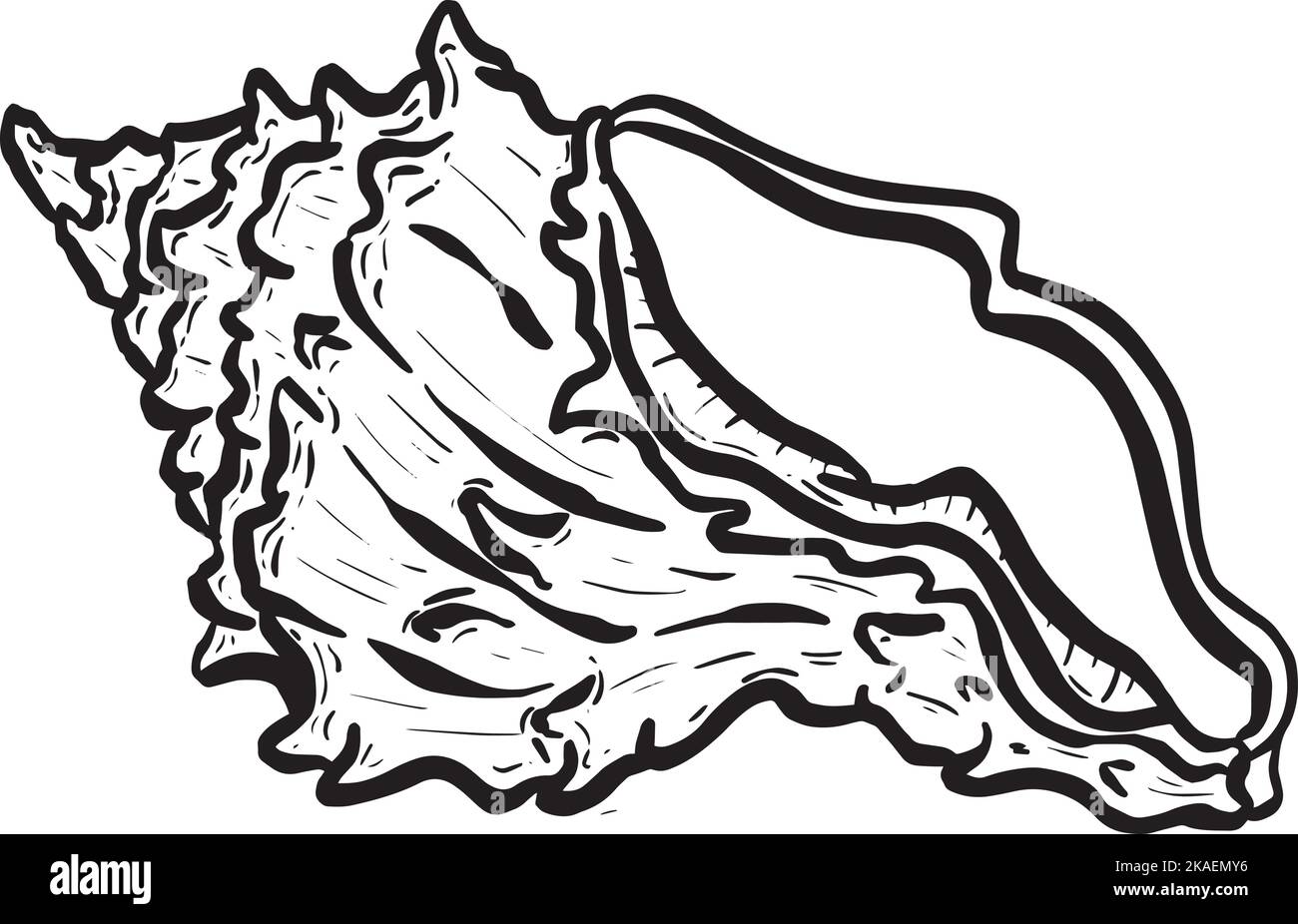 Conch Sea Schnecke Shell Umriss Cartoon Style Logo Design im Vektor Stock Vektor