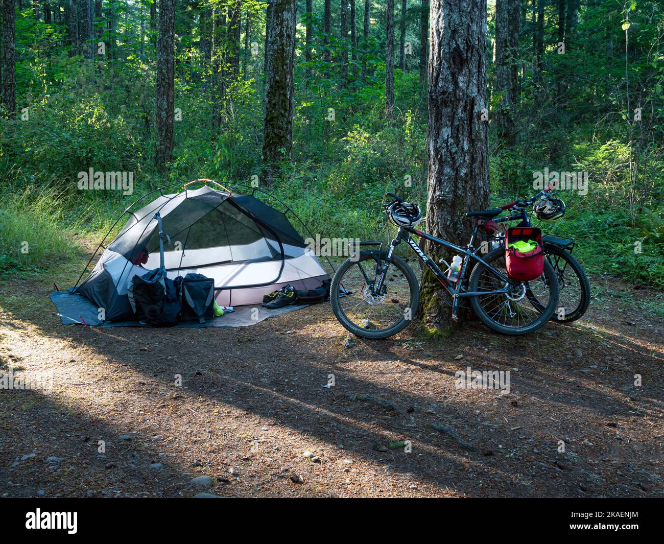WA22664-00...WASHINGTON - Fahrradcampingplatz auf dem Quilcene Campground in der Stadt Quilcene, gelegen an der Schotterradroute durch Washington. Stockfoto