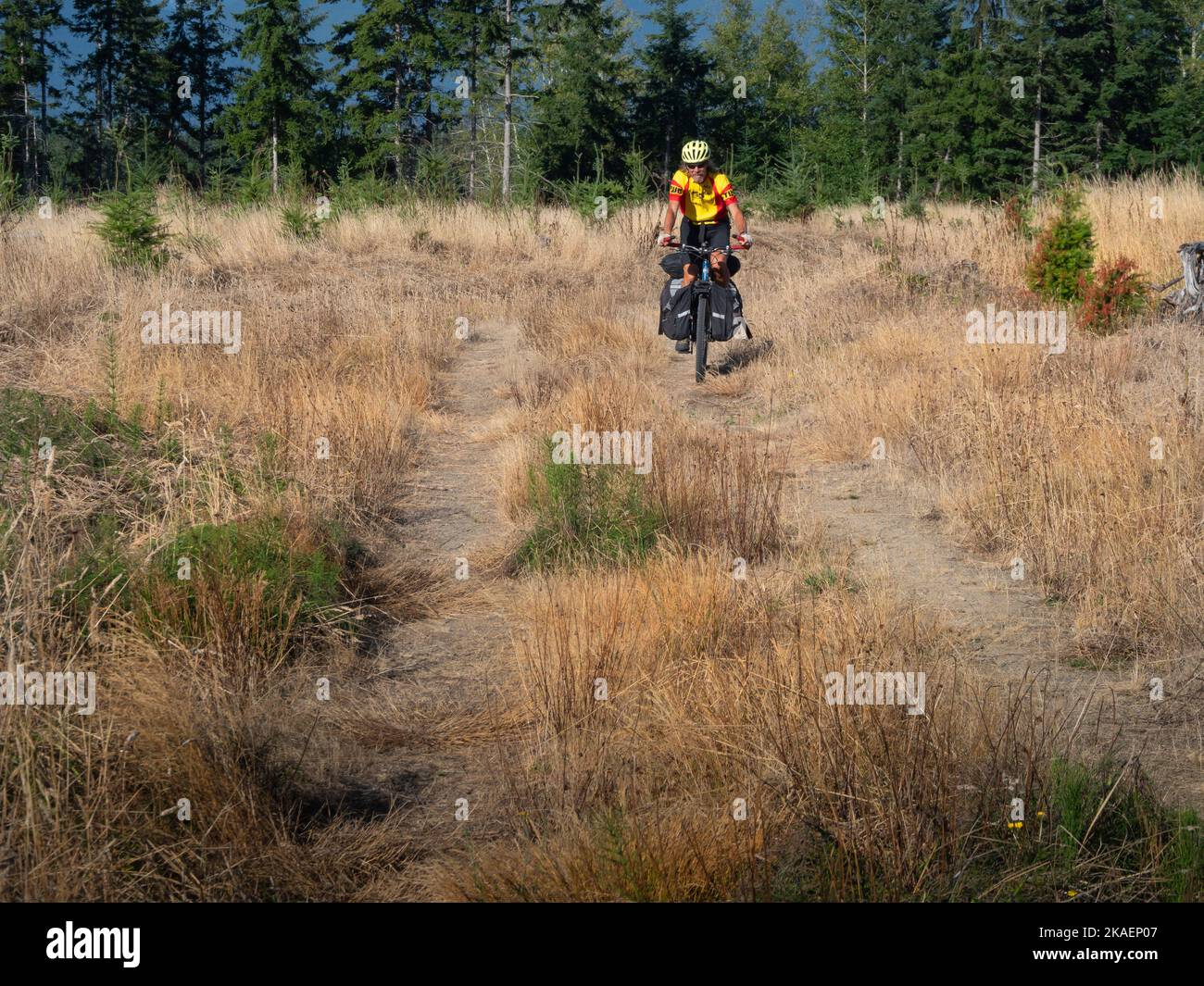 WA22678-00...WASHINGTON - Radtourenfahrer folgen der Cross Washington Mountain Bike Route und überqueren eine Freischneide in der Nähe des Sandy Shore Lake. Stockfoto