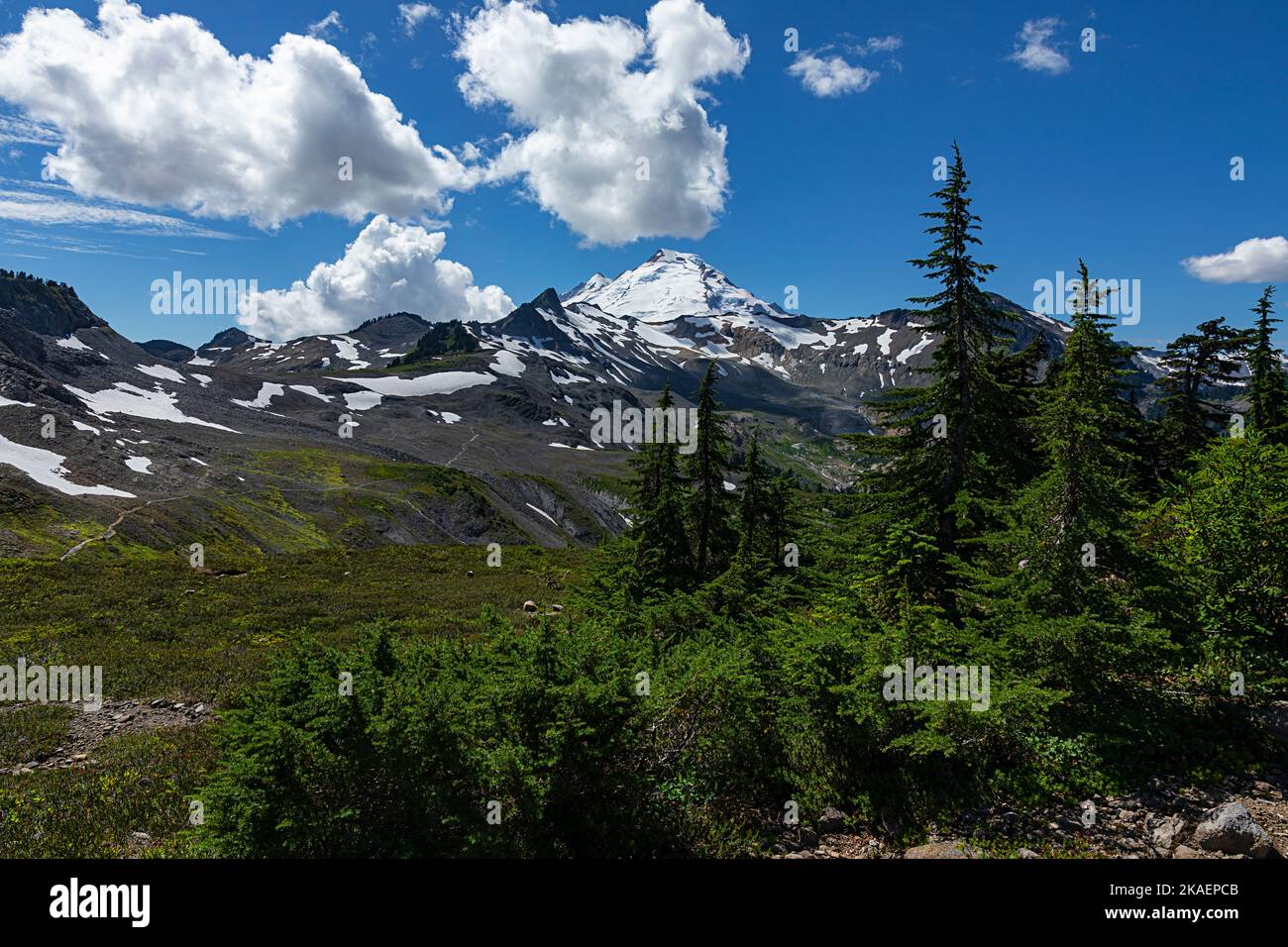 WA22683-00...WASHINGTON - Mount Baker vom Ptarmigan Ridge Trail aus gesehen in der Mount Baker Wilderness Gegend. Stockfoto