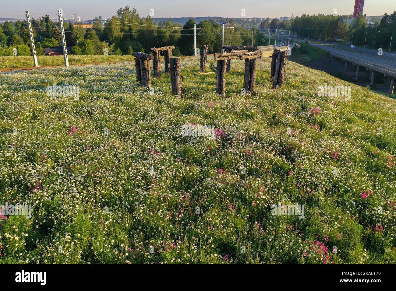 Lokale Kunst aus dem Holz. Stockfoto