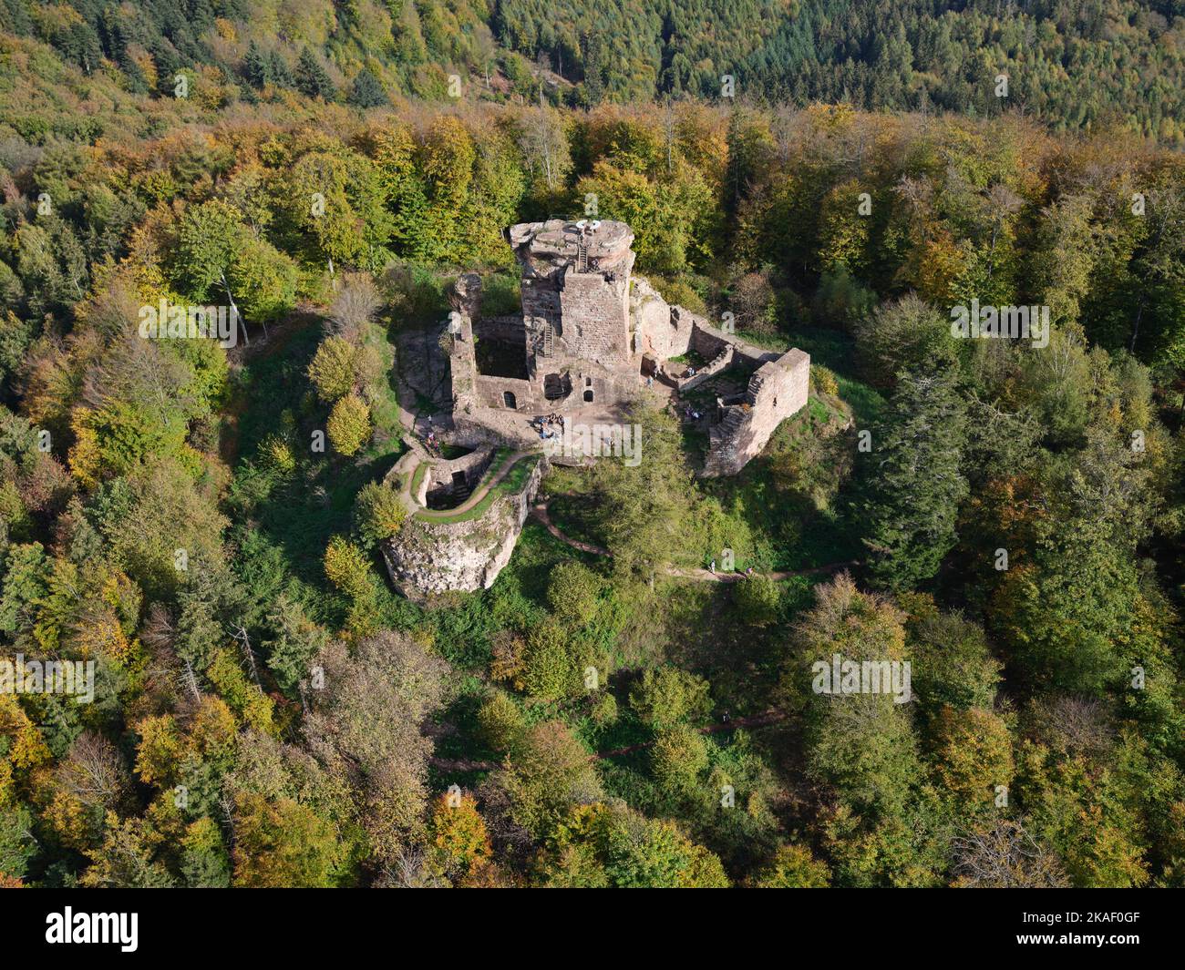 LUFTAUFNAHME. Ruinen der Burg Hohenbourg im Bergwald der Nordvogesen. Wingen, Bas-Rhin, Elsass, Grand Est, Frankreich. Stockfoto