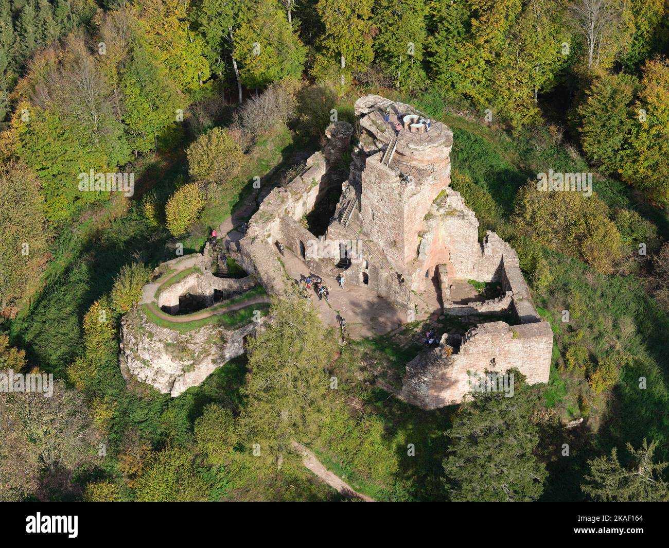 LUFTAUFNAHME. Ruinen der Burg Hohenbourg im Bergwald der Nordvogesen. Wingen, Bas-Rhin, Elsass, Grand Est, Frankreich. Stockfoto