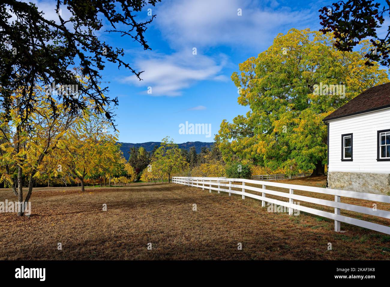 Ein schöner Tag auf der Halbinsel Saanich, Vancouver Island, BC Kanada Stockfoto