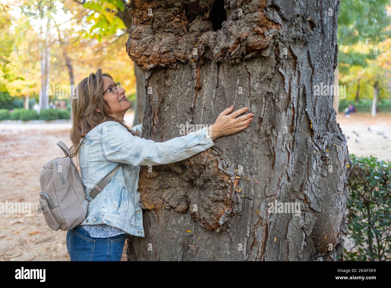 Frau umarmte den Stamm eines großen Baumes der großen Antike voller Furchen im Laufe der Jahre. Stockfoto