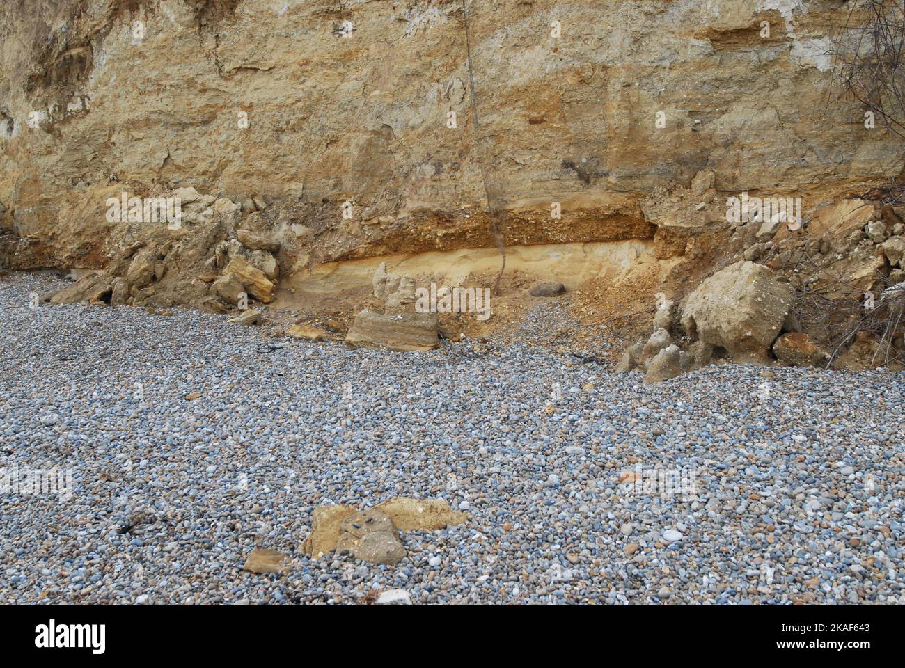 Einklinken in die Oberflächenschicht am Fuß der Klippe, bestehend aus Norwich Crag, einer Mischung aus Sand, Kies und fossilen Meeresvorkommen. Thorpeness 22/10/2022. Stockfoto